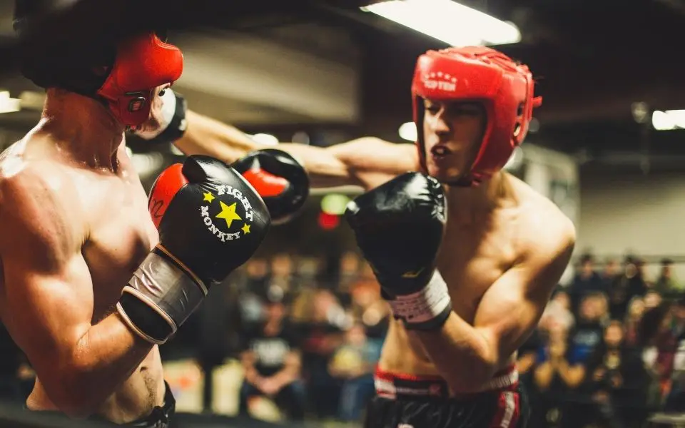 fight response