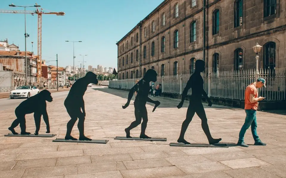 mind and body evolution