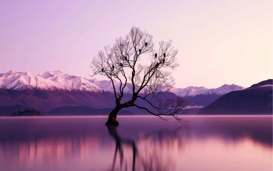 ambient sounds in nature