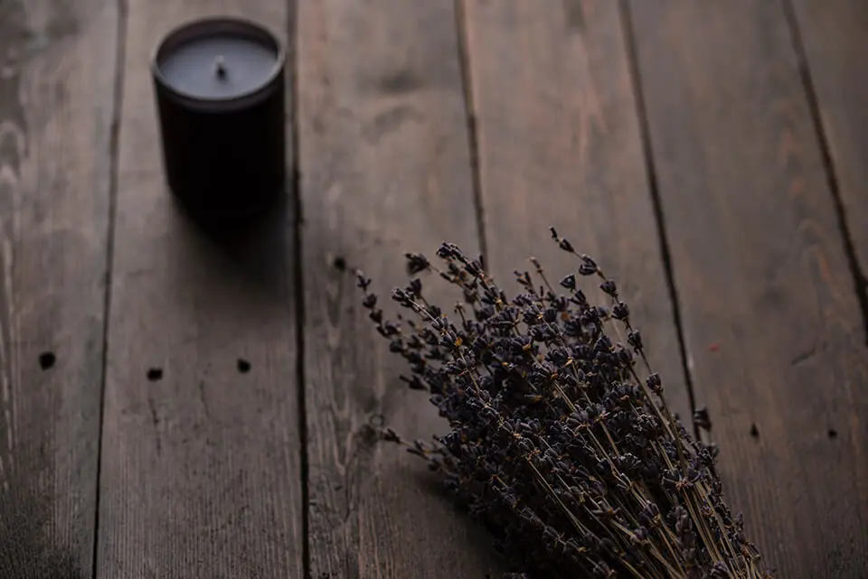 Lavender candle and plant laying on table
