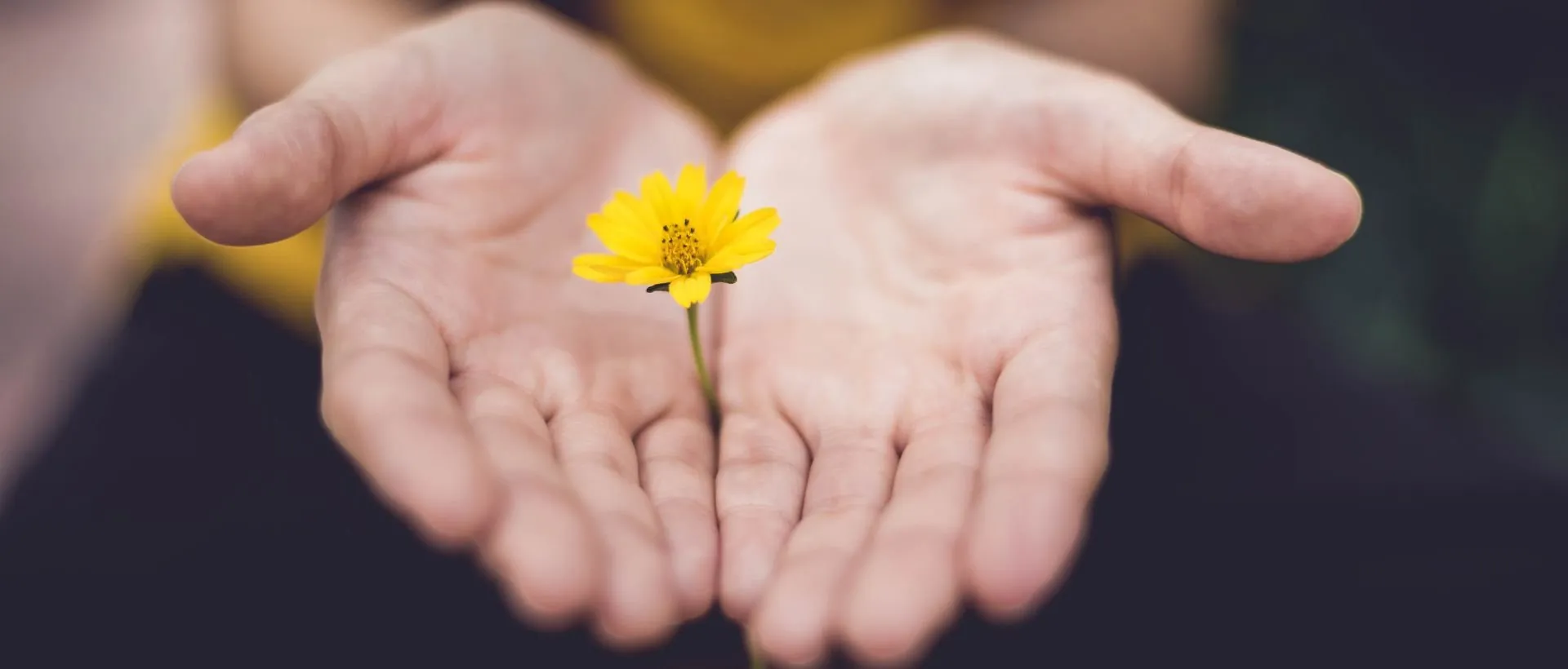 How to Forgive When You've Been Hurt