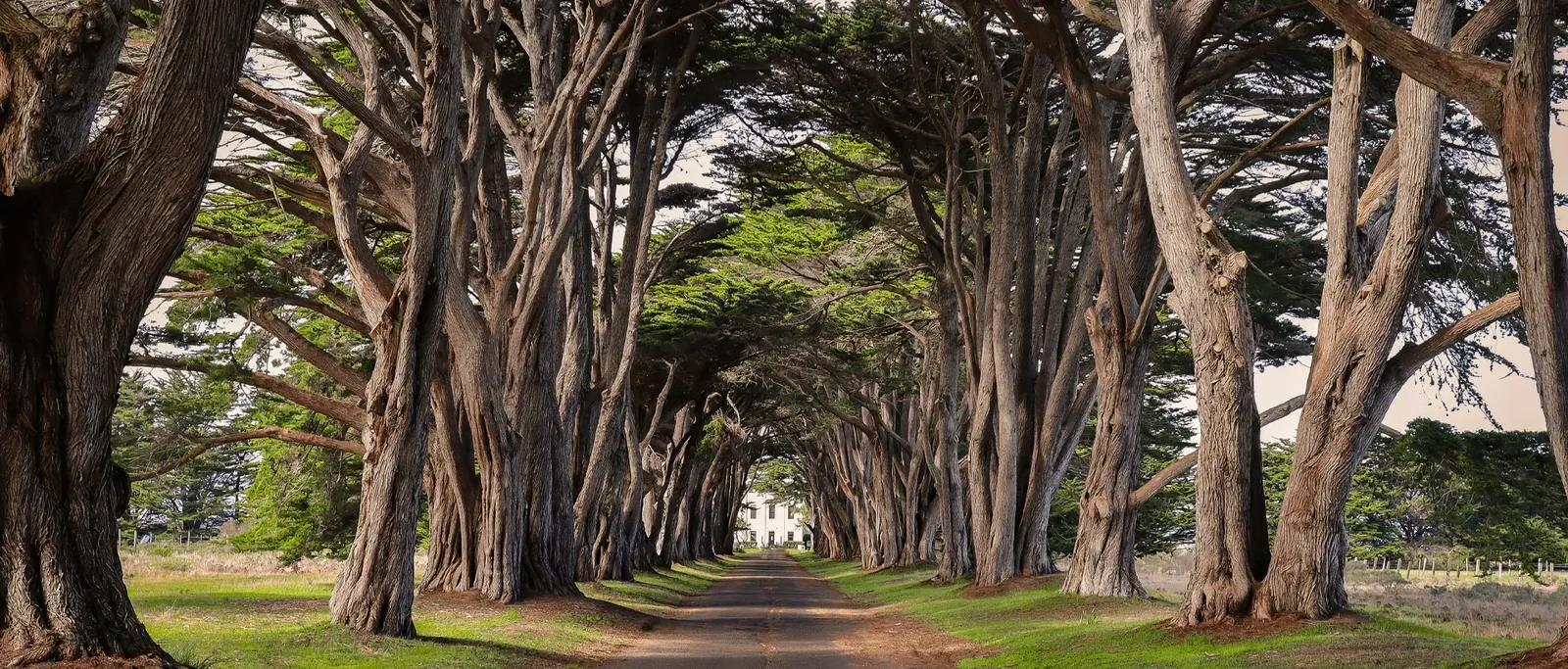 Guided Imagery: How to Practice It and More