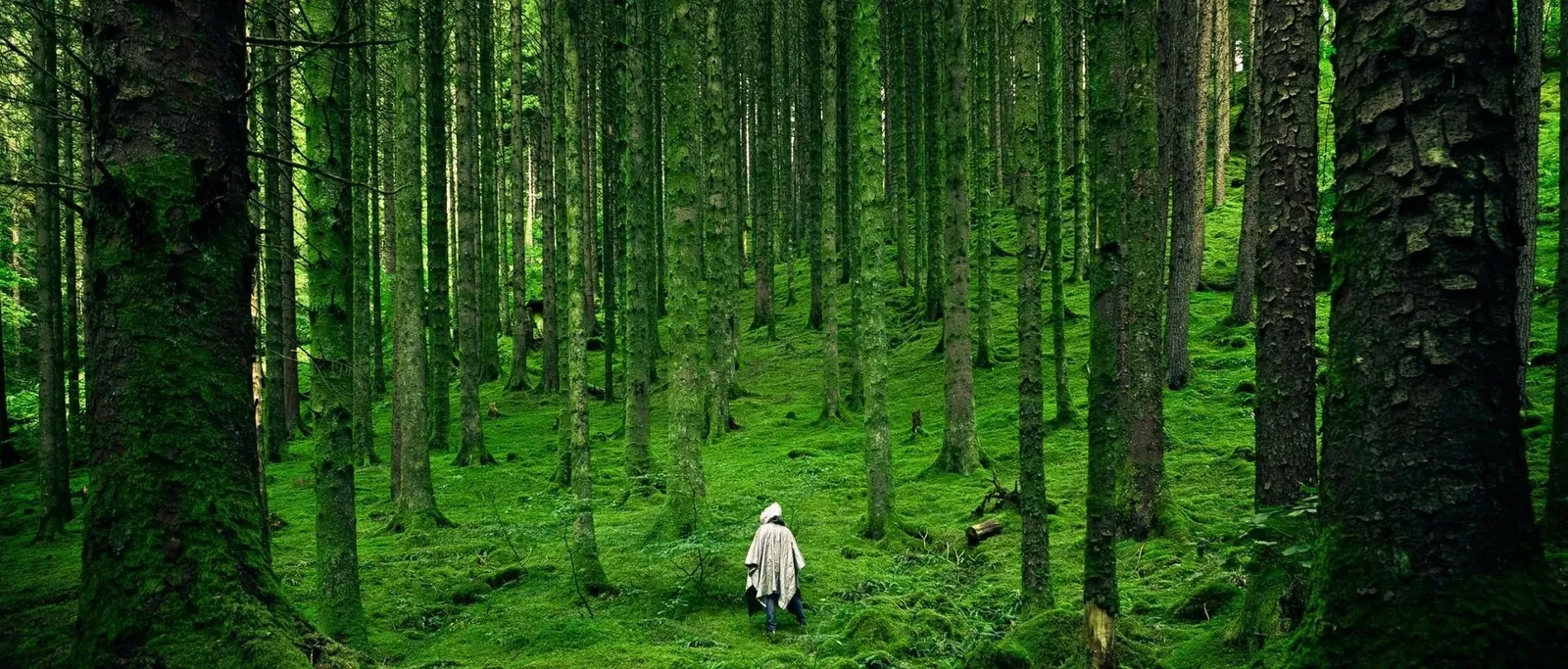 7 Best Ambient Sounds Websites