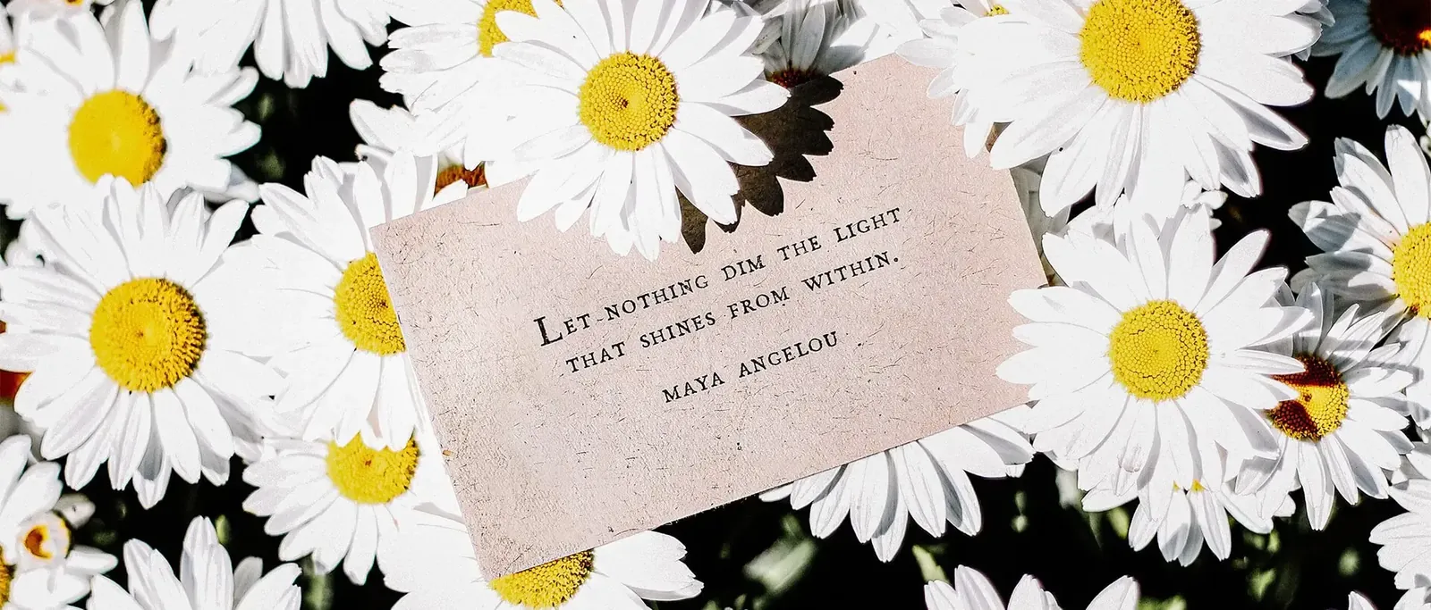 100+ Maya Angelou Quotes That’ll Make You a Better Person