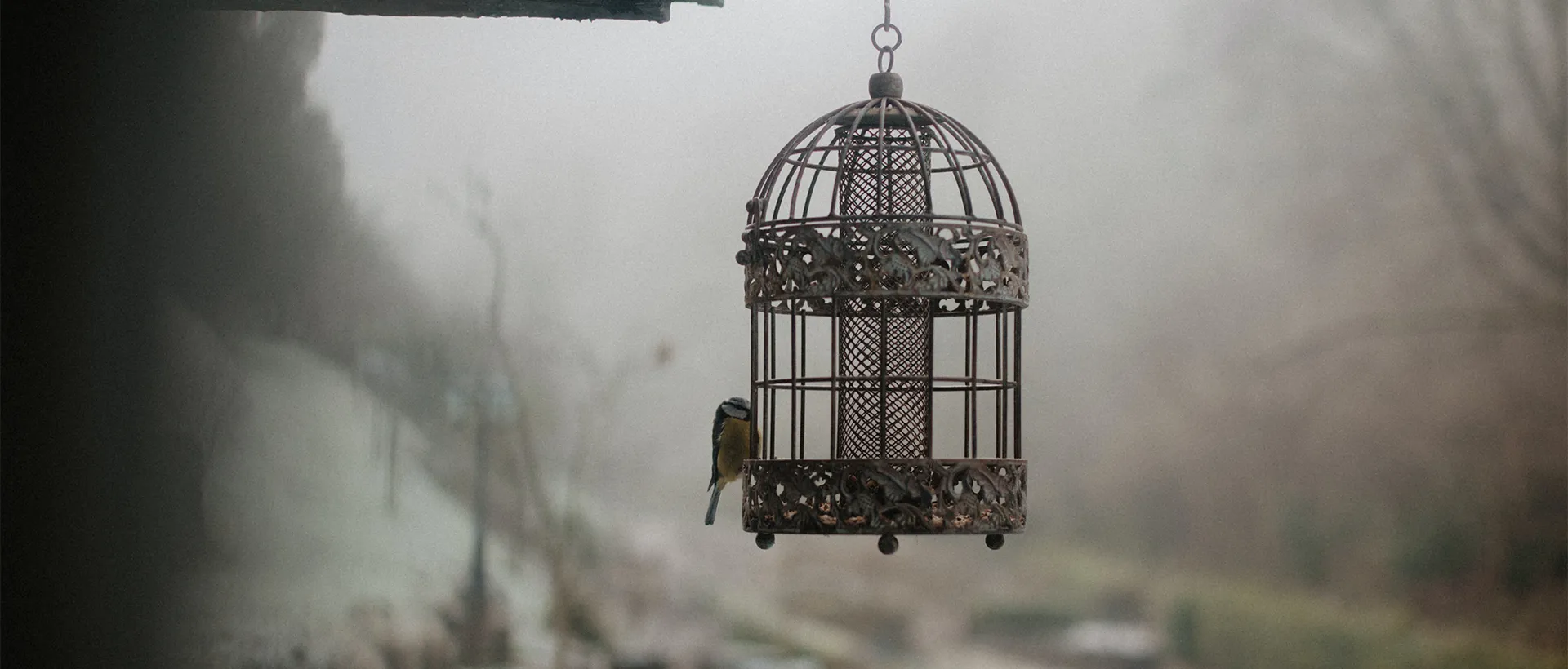 Feeling Trapped? 15 Ways to Escape The Life You Have