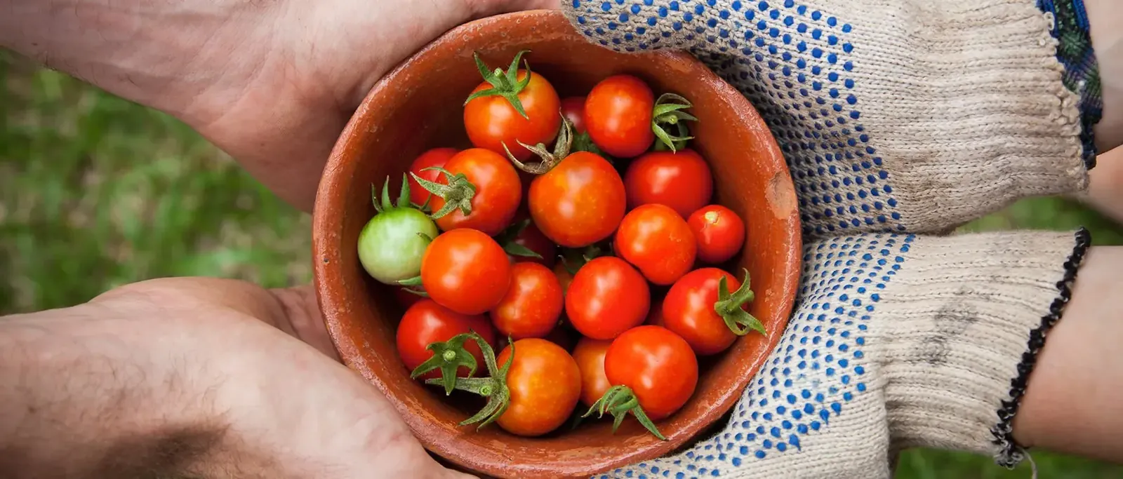 10 Acts of Generosity: Ideas to Help You Become a More Generous Human