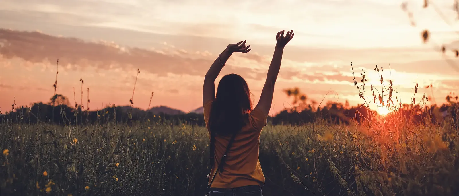 The Wellness Wheel: Your Guide to a Better, Balanced Life