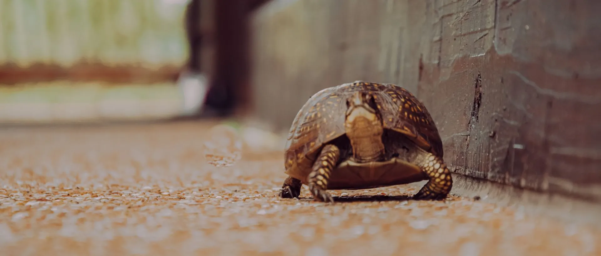 15 Ways to Slow Down and Notice Life