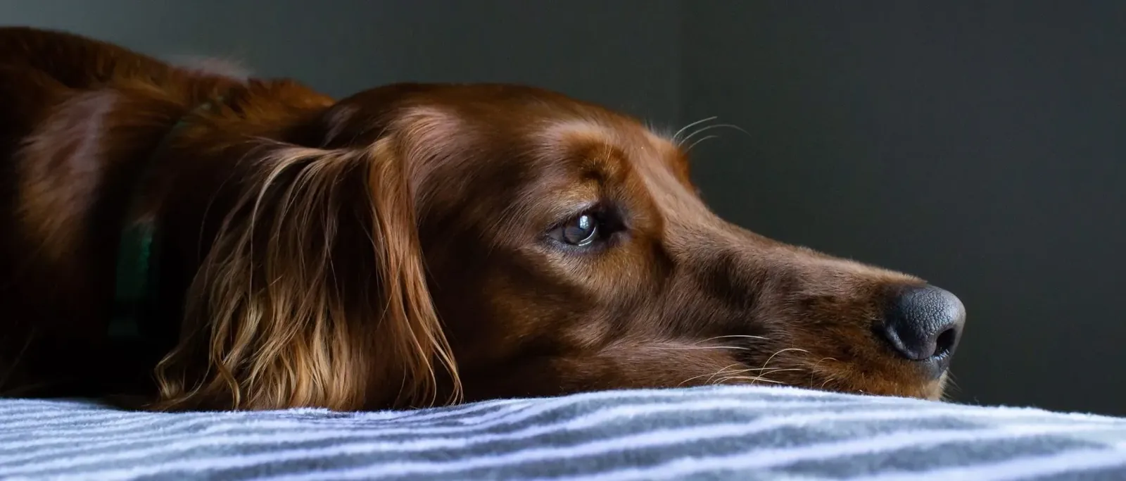 26 Low-Key Things To Do When You’re Bored