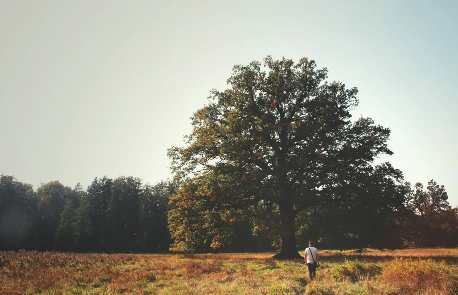 Mindful Living: 16 Ways to Live Mindfully in 2025
