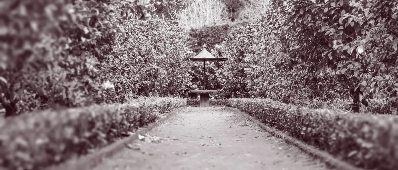 60 Depression Quotes To Explain How Depressed People Feel