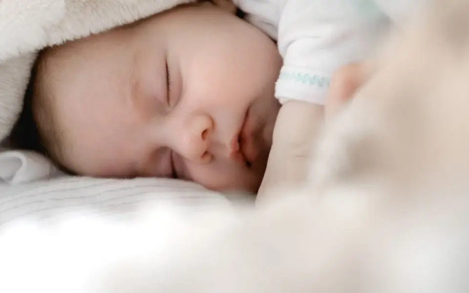 sleep