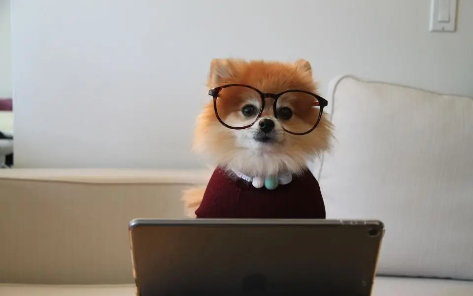 things to do when you're bored - learn