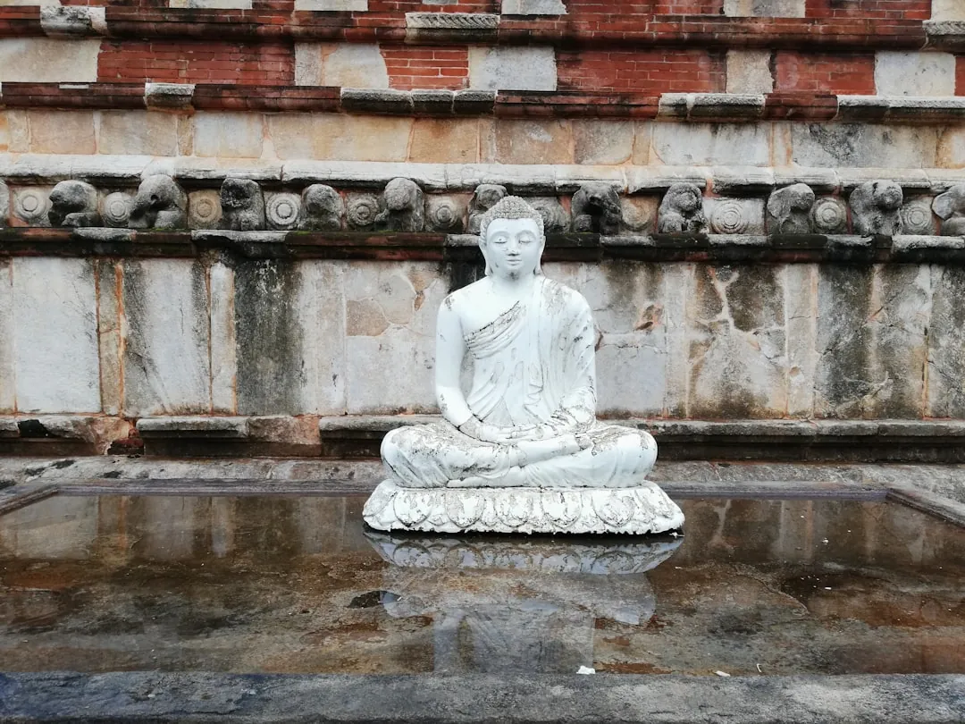 What is Meditation? Definition and Science Explained Simply
