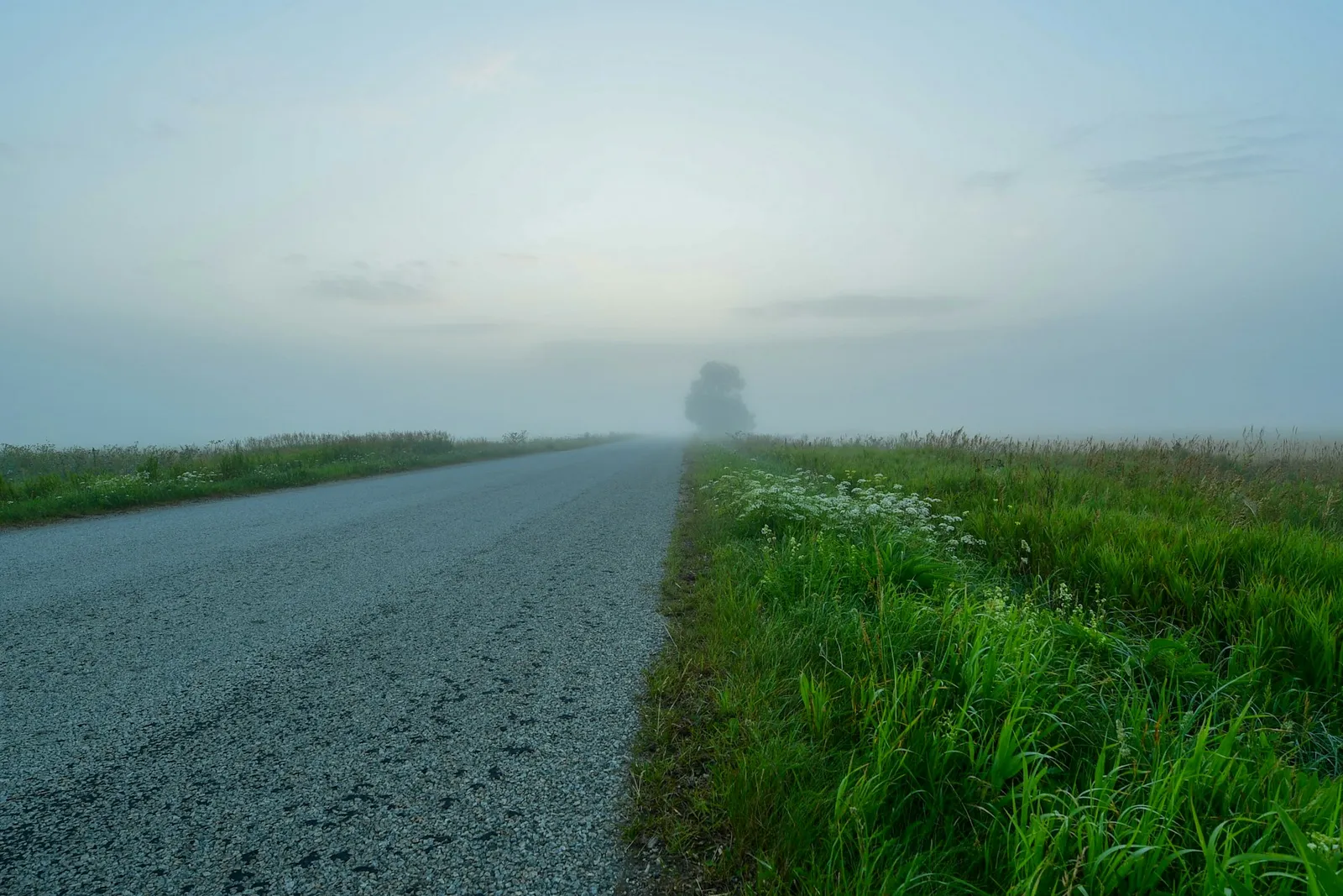 A quiet path disappearing into soft morning fog, evoking the uncertainty of what lies ahead.