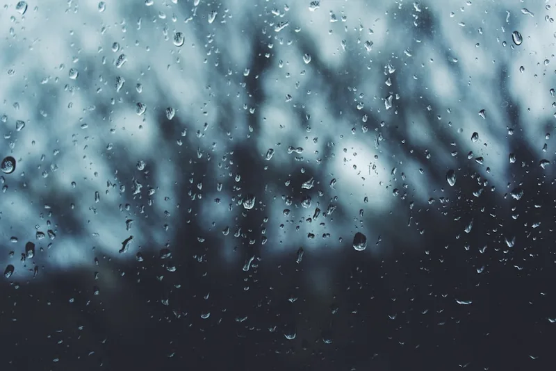 Rain drops on a window with blurred bare trees behind, in cool blue light.