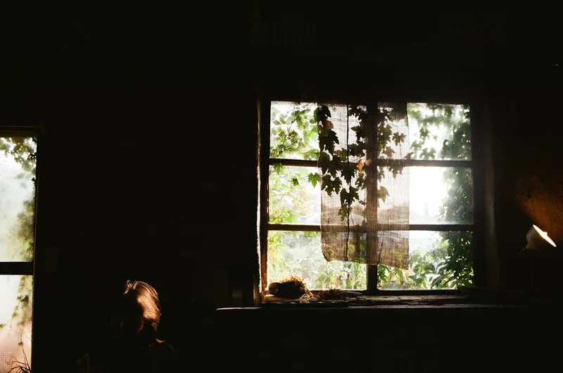 A dark room looking out a leafy window, with warm daylight coming through a sheer curtain.