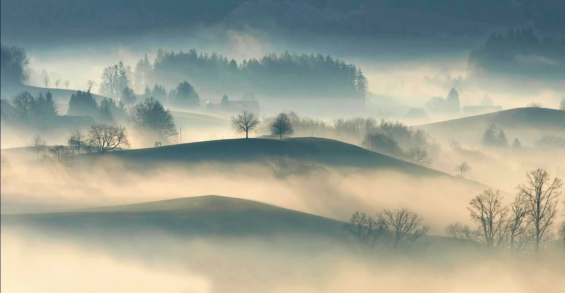 Fog drifting between rolling hills at dawn, evoking a foggy mind beginning to clear.