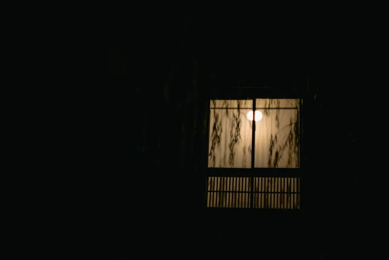 Moonlight glowing softly through a window at night, with leaf shadows on the glass.