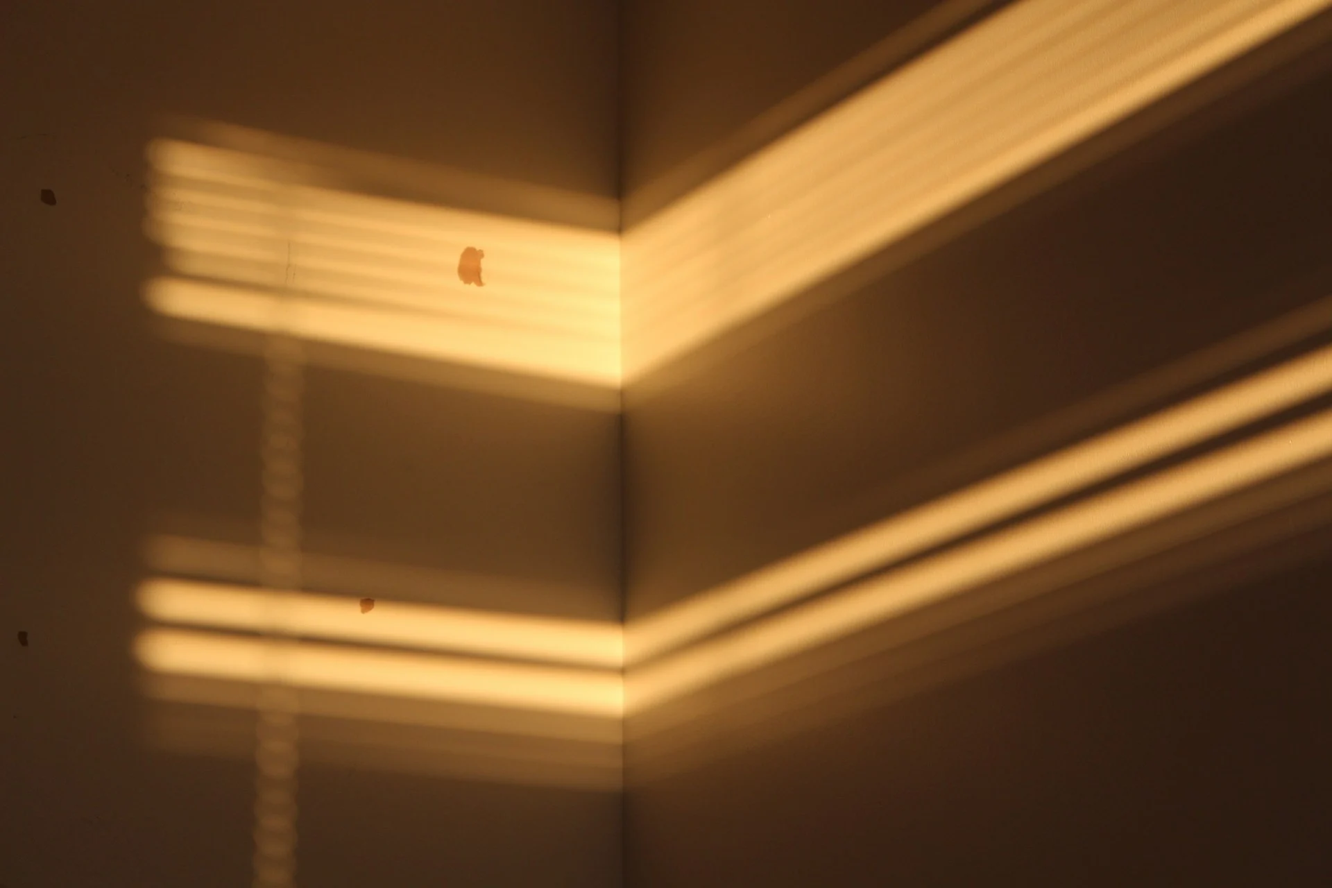 Soft daylight moving slowly across a calm, simple room, suggesting time and patience.
