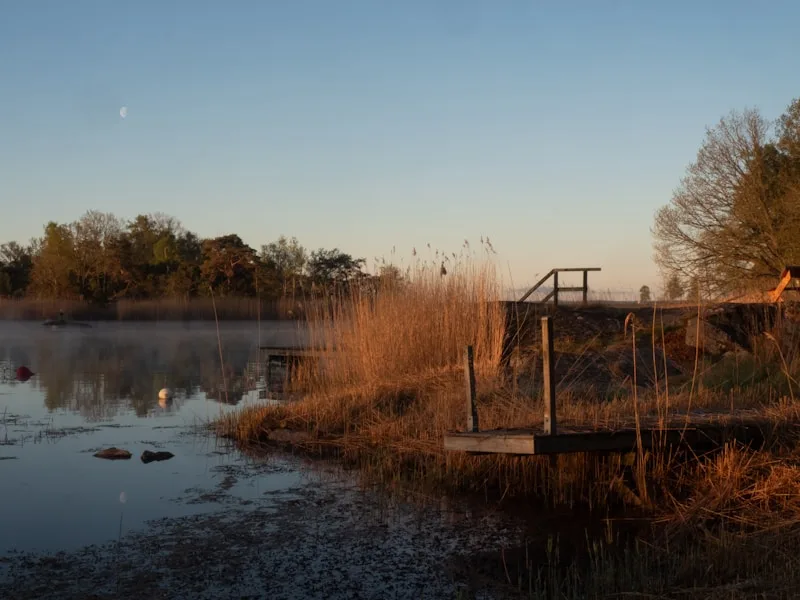 A still lake at sunrise, reeds and a quiet wooden dock catching the early light.