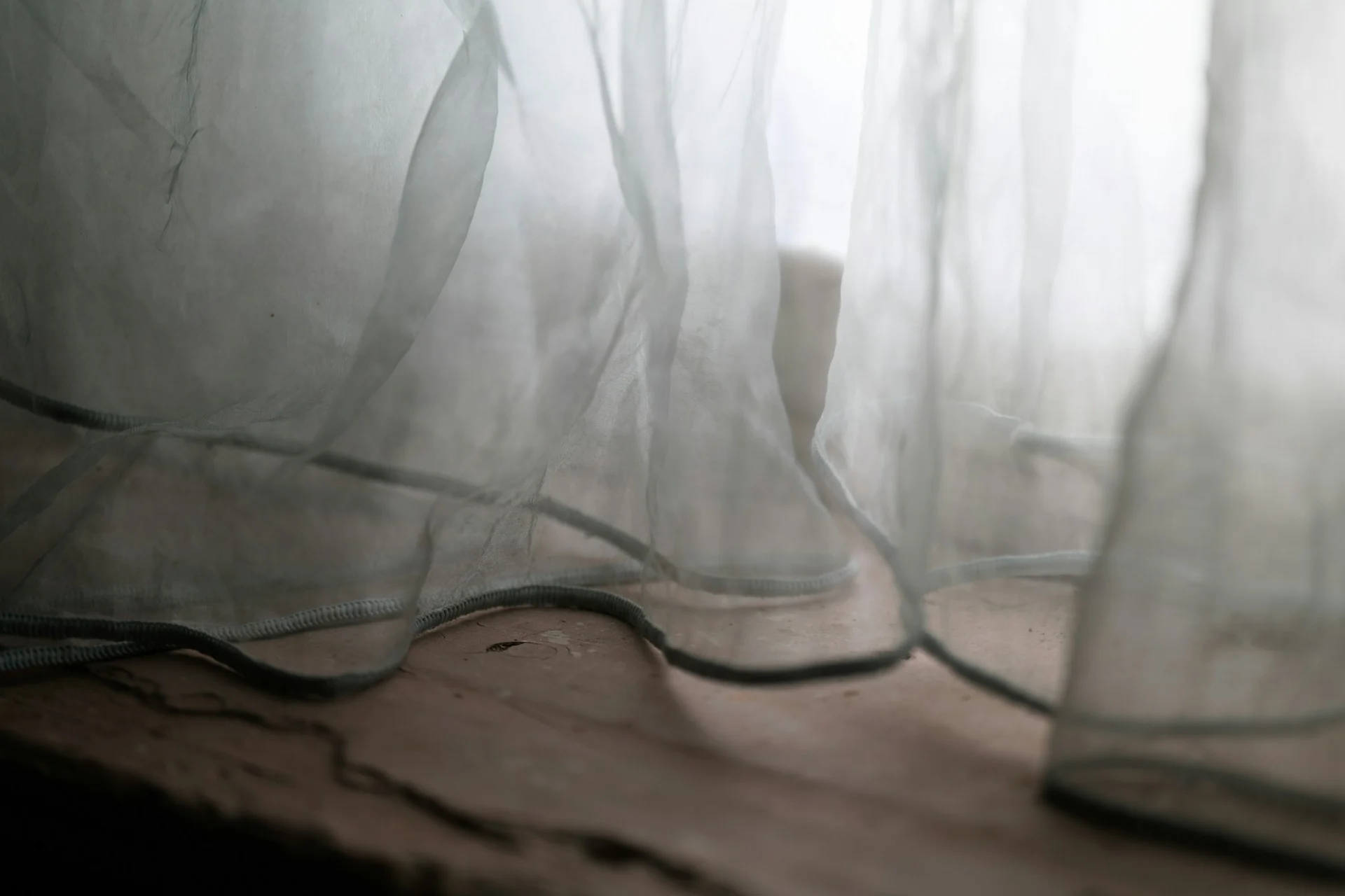 Soft daylight through sheer curtains over a windowsill, evoking a slow settling exhale.