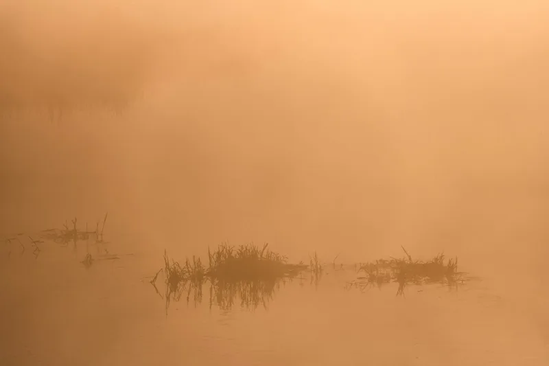 Mist over calm golden water at dawn.
