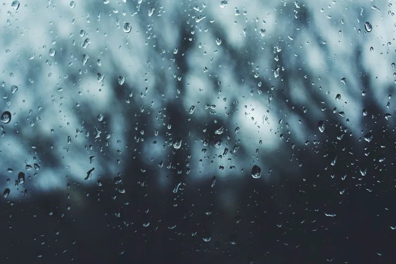 Rain running down a dark window with blurred trees behind it