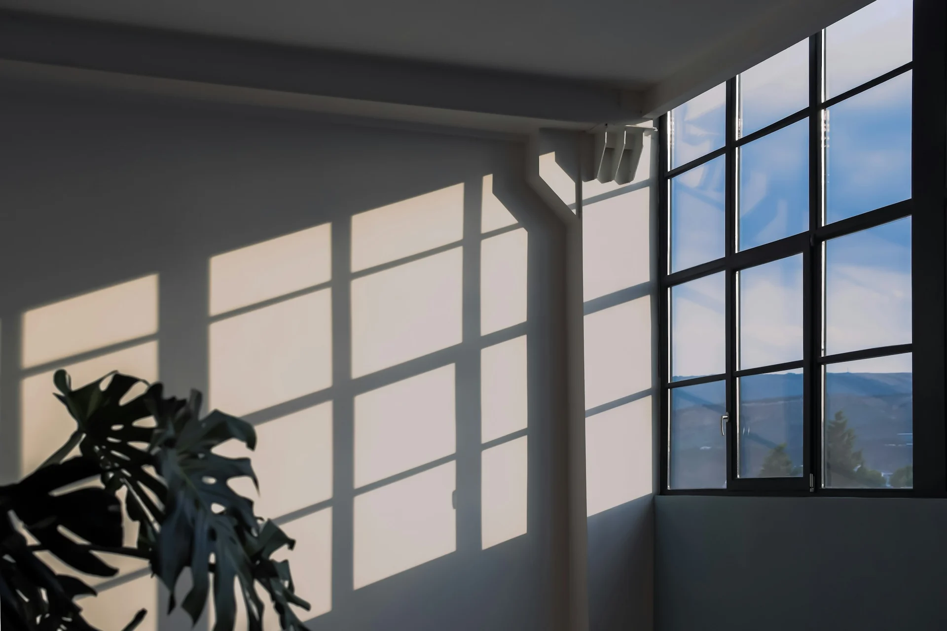A single shaft of light falling across a dim room, suggesting looking at what's usually left in shadow.