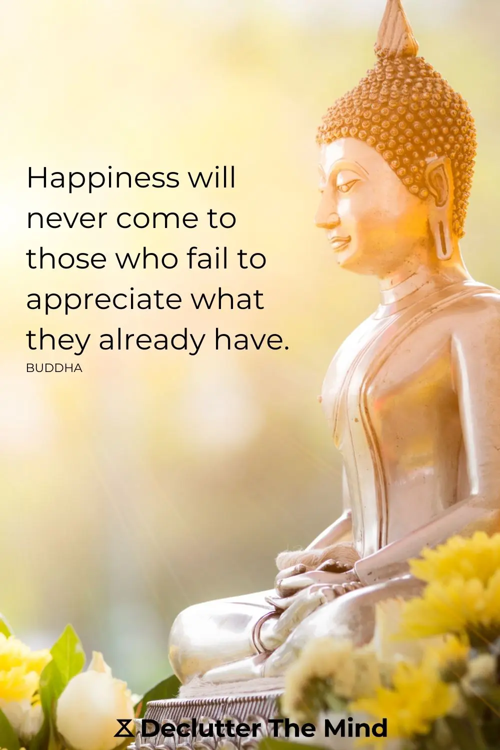 100+ Inspiring Buddha Quotes on Life and Meditation - Declutter The Mind
