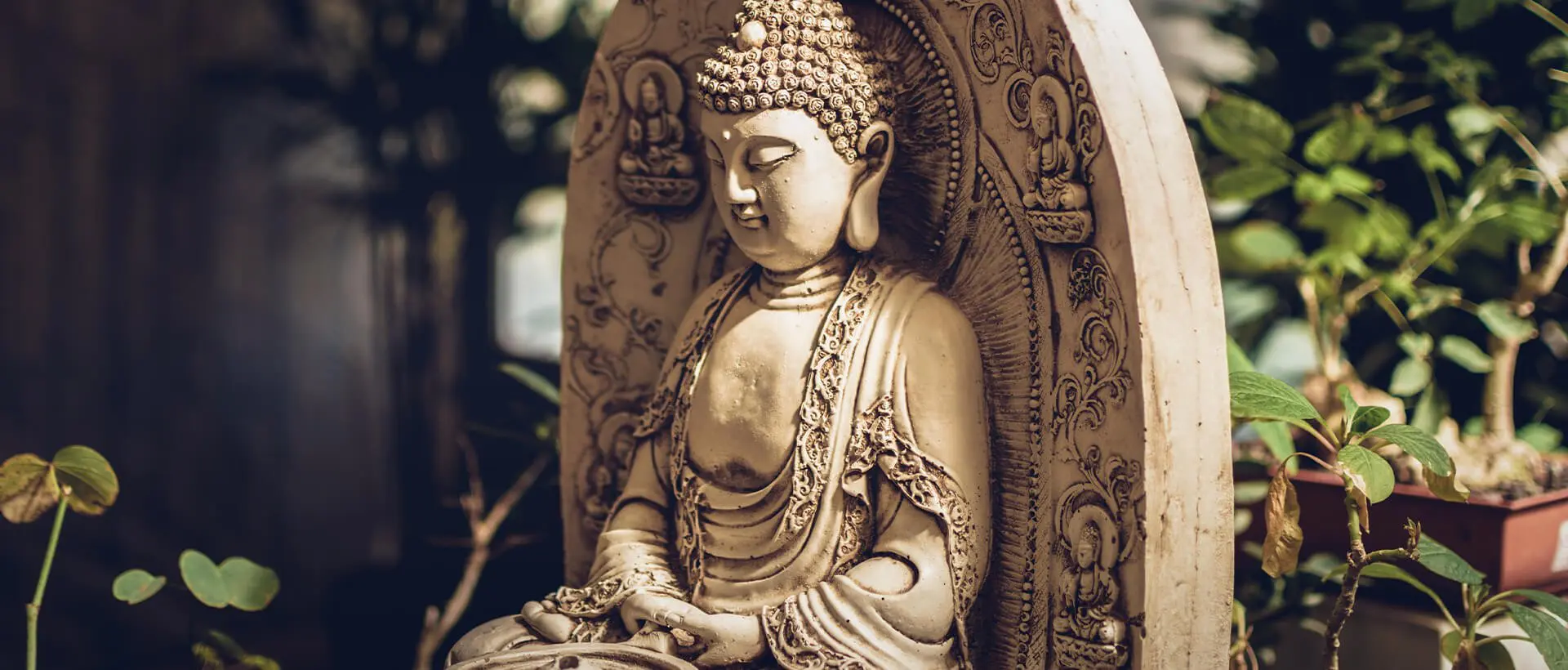 a statue of a buddha sitting in a garden.