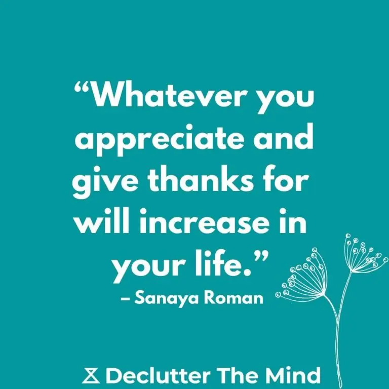 50 Gratitude Quotes to Help You Feel Thankful - Declutter The Mind