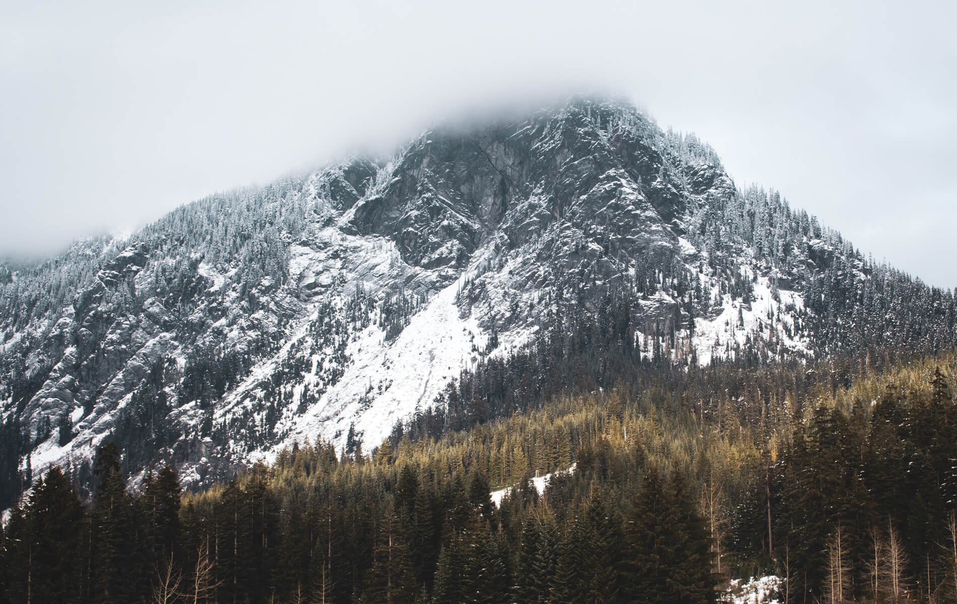 a mountain covered in snow and surrounded by trees.
