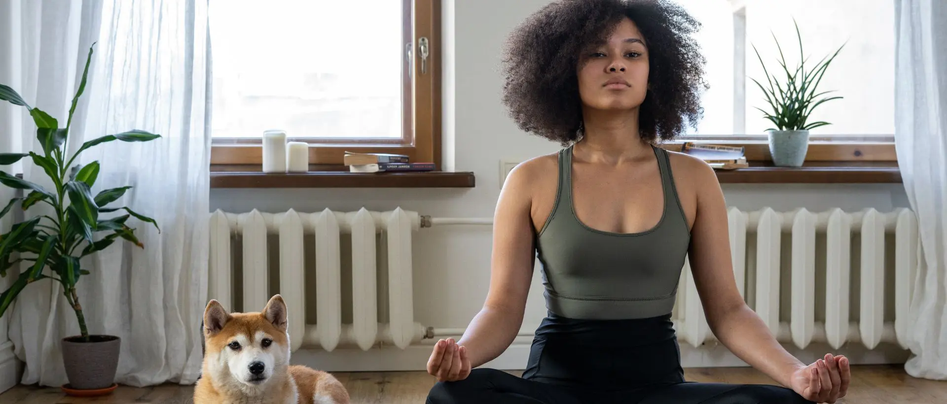 a woman sitting in a yoga pose with a dog.